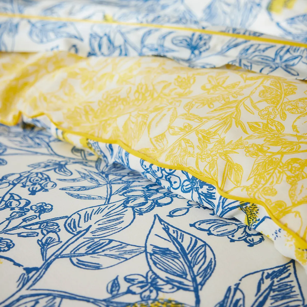 Citronnier sous la tonnelle Drap